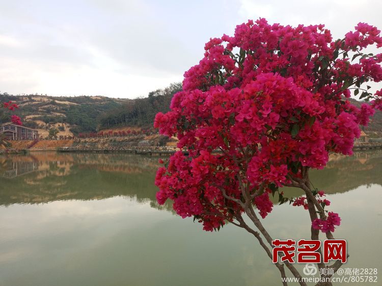 1578881524782329.jpg 1.jpg