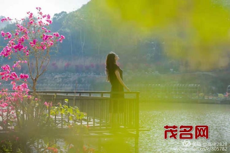 1578881537522267.jpg 9a4d6b3a43641e05c35de589cc85f71b.jpg