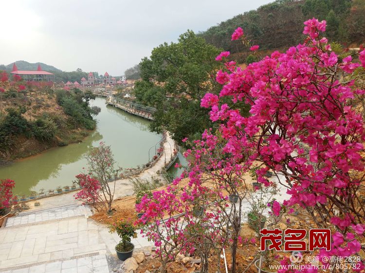 1578881544792311.jpg 9c4927c5f7e3f0f78ee8c19c434d7c0d.jpg