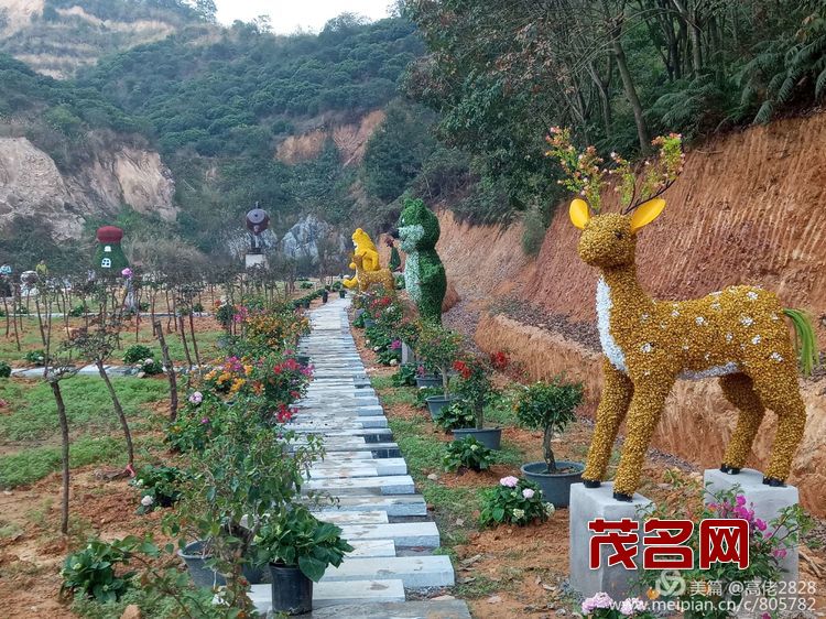 1578881577605859.jpg 76898f53377e0281c072f80fbd91db4d.jpg