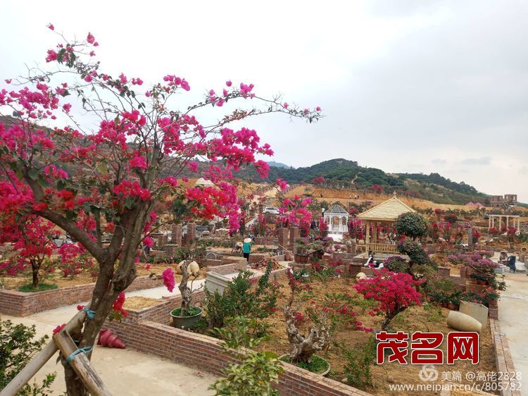 1578881586604259.jpg 8156220cada336cda887ec4925e3d14c.jpg