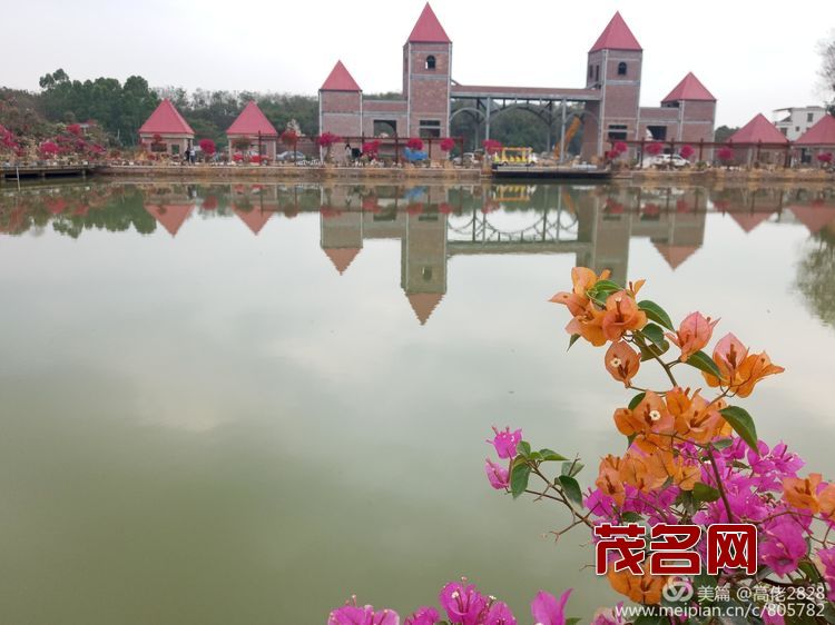 1578881620604543.jpg cd9bad75da27a3147f748ce87f53412c.jpg