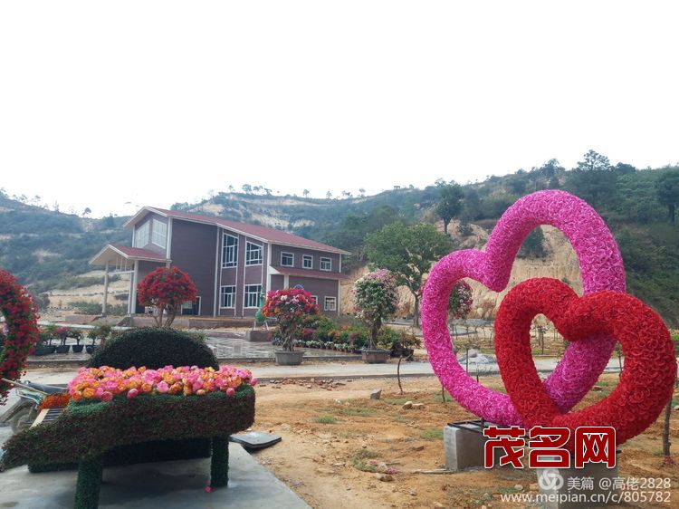 1578881636244028.jpg d00ea6712e7acebdaac2898578eee8d6.jpg