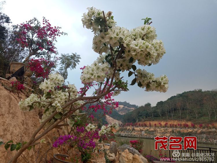 1578881646722245.jpg de4b8ee7d491fd10895870765f0893a7.jpg