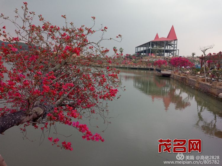 1578881669149755.jpg edd9770200231bef42f1d63b148d966a.jpg