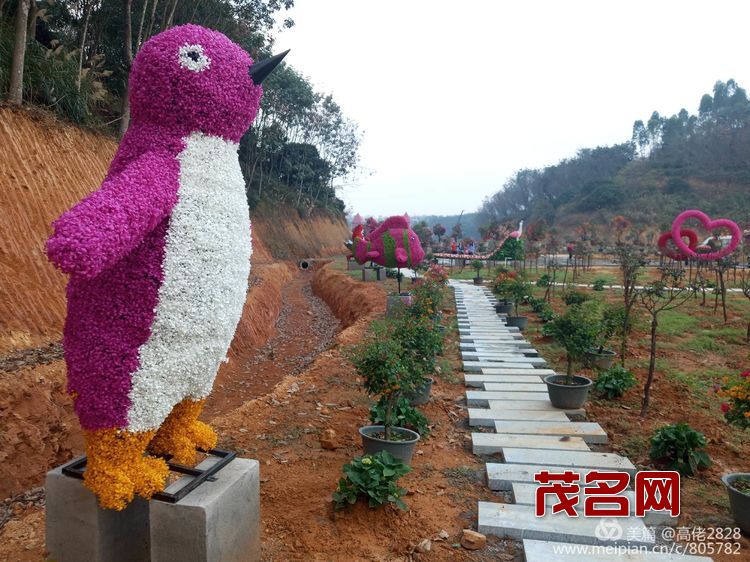 1578881678324696.jpg f9400d183e33774785d5c74e03a8ecf3.jpg