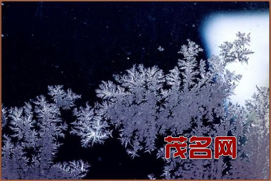 冰花.jpg