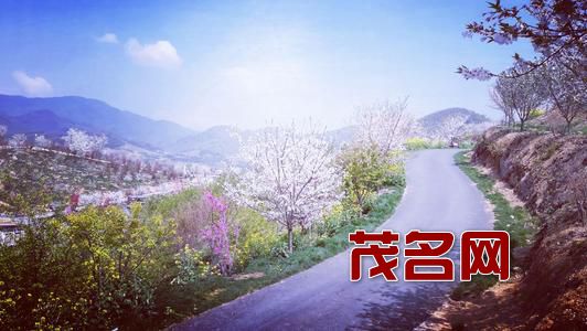 1614837989825749.jpg 走在春天的路上.jpg