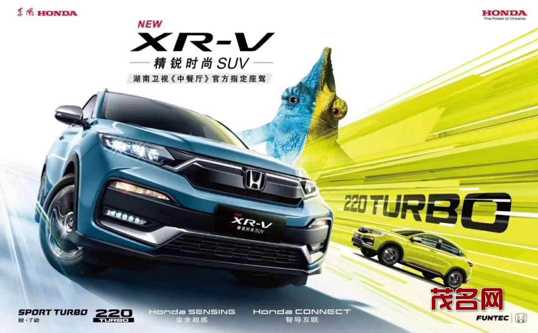 图片13.jpg
