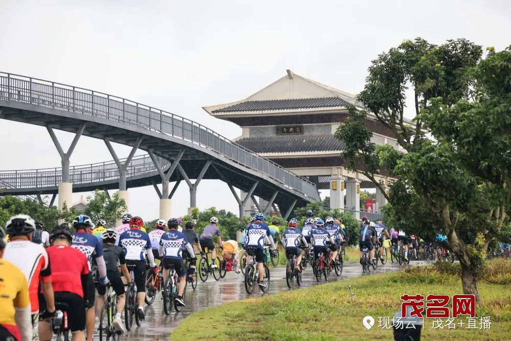 1688369202110926.jpg 9.jpg