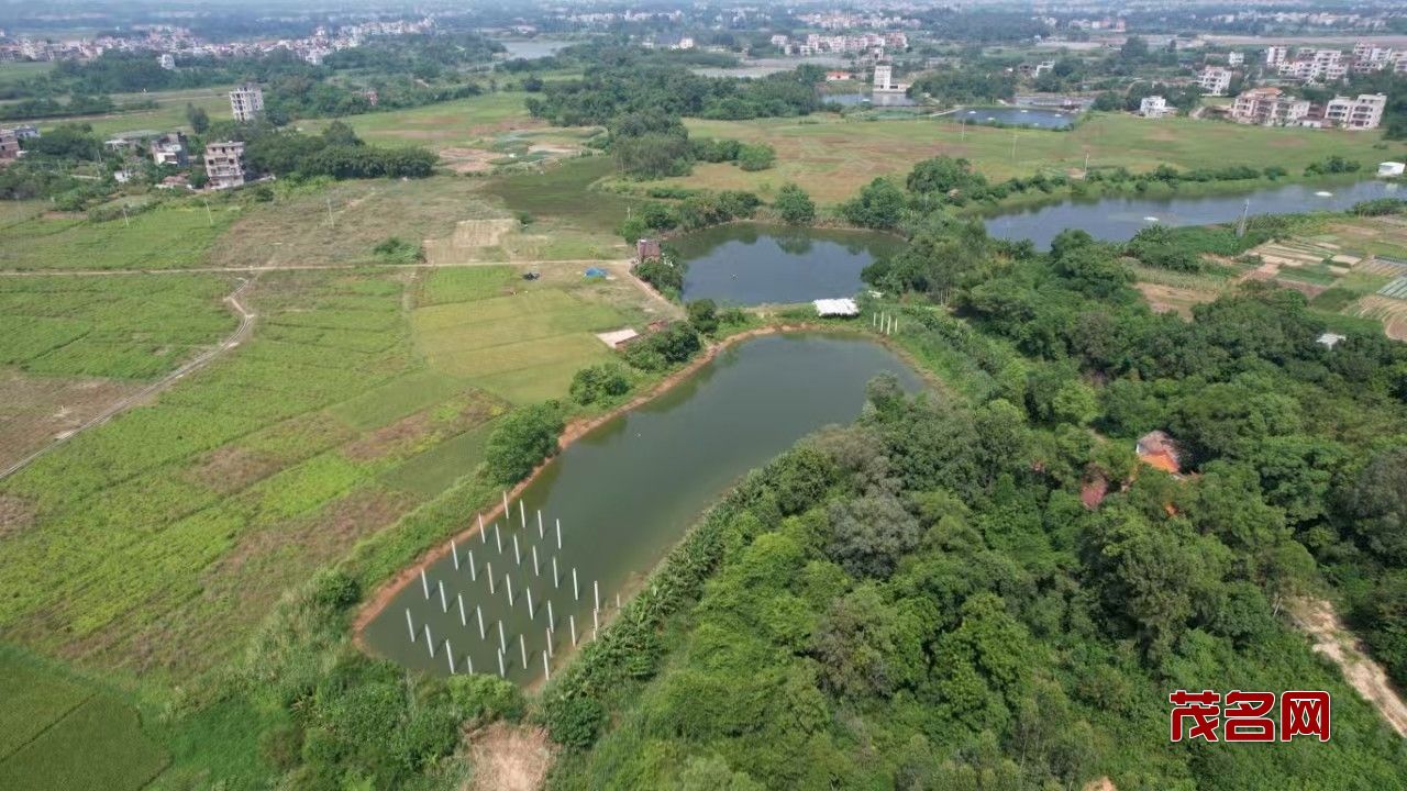 1728909683372433.jpg 微信图片_20241014203137.jpg