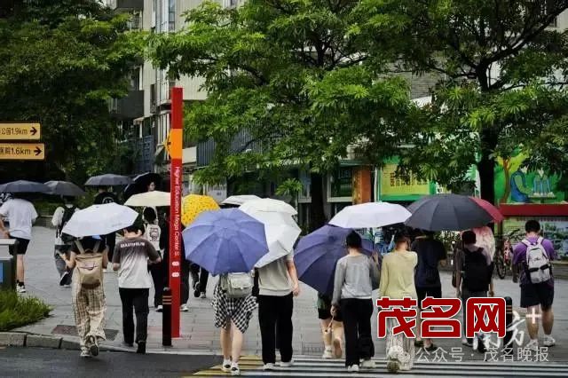 1750649328533797.jpg 640.jpg